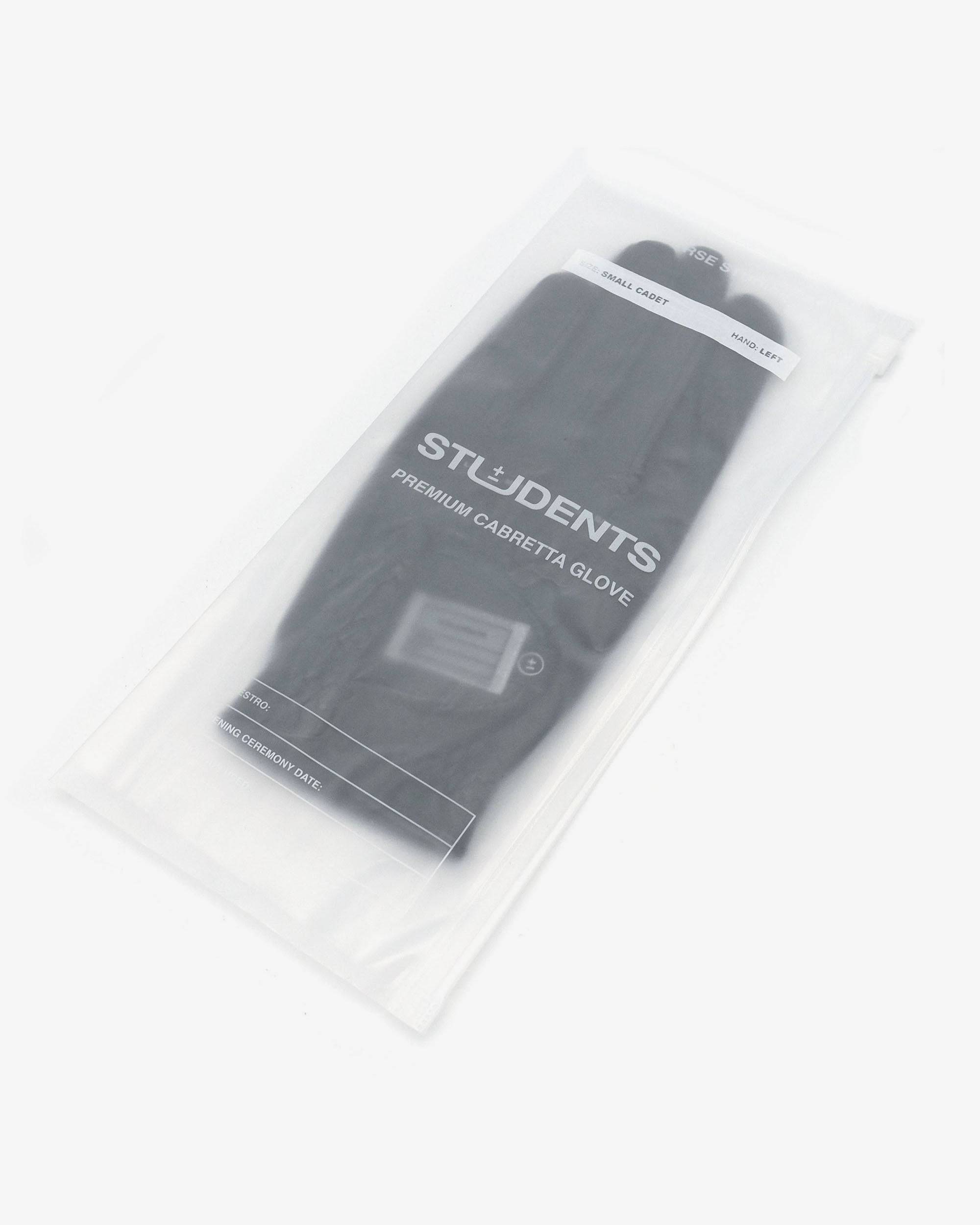 Lesson 1 Cabretta Gloves - Students Golf