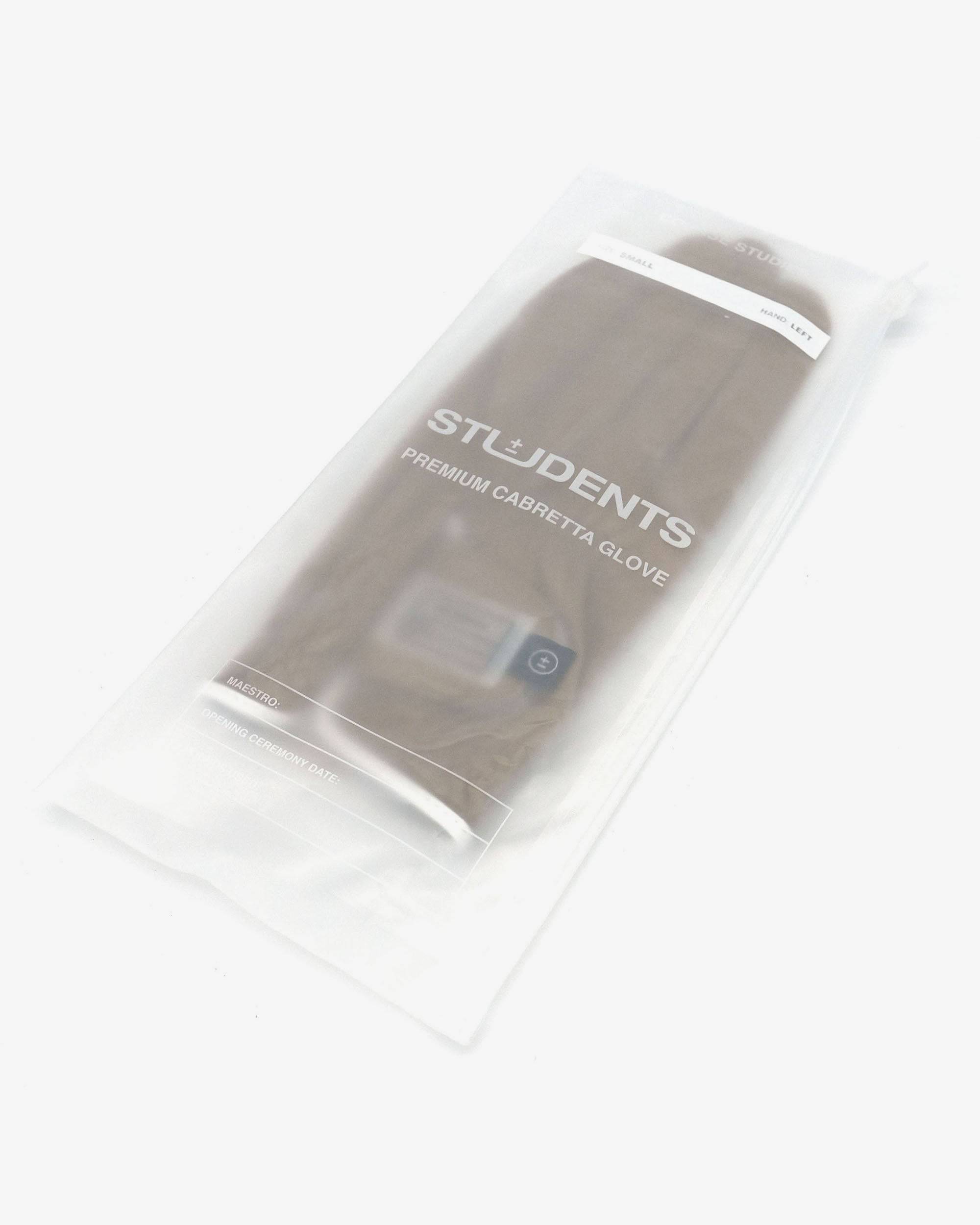 Lesson 1 Cabretta Gloves - Students Golf