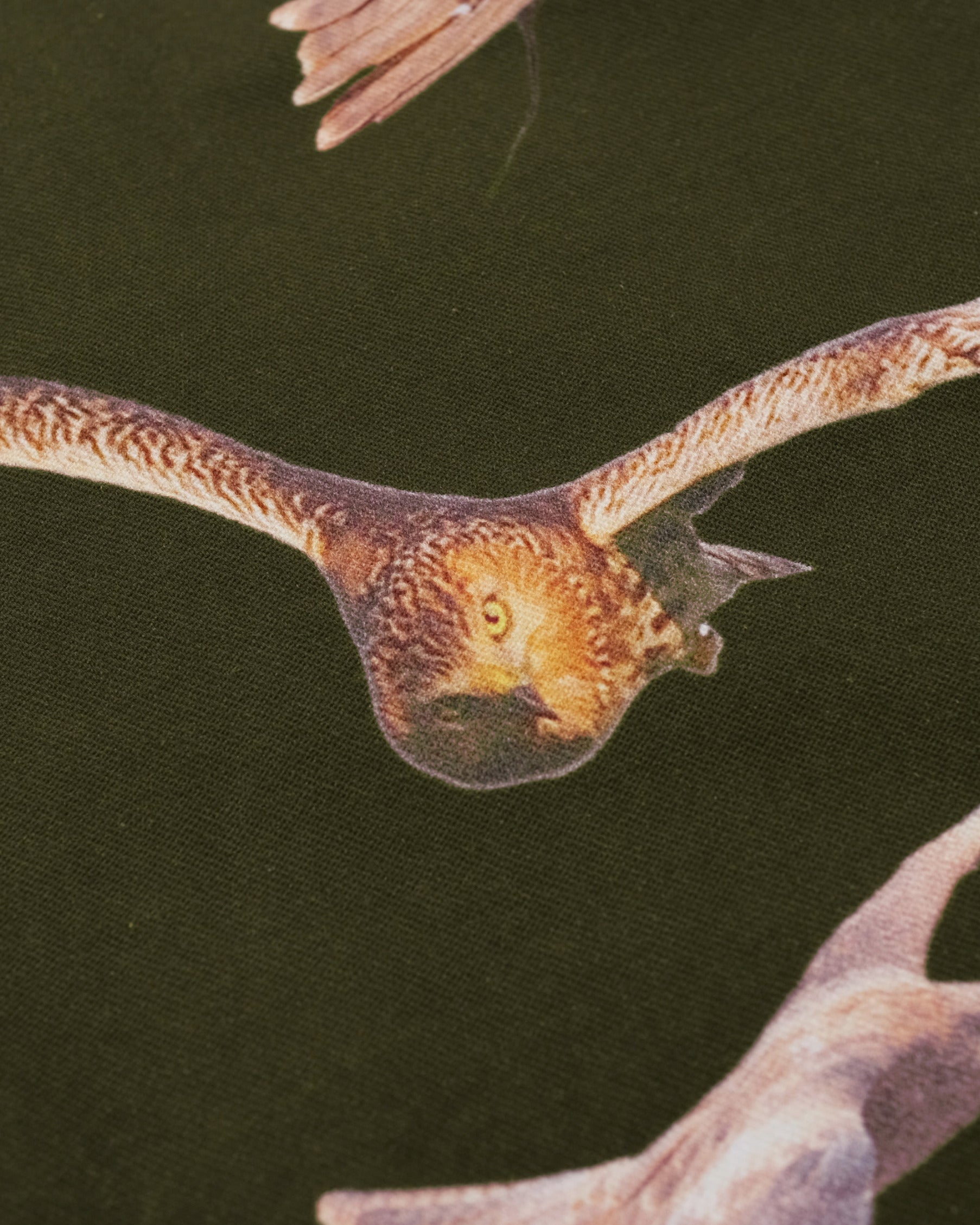 Students Golf - Daybreak Pants