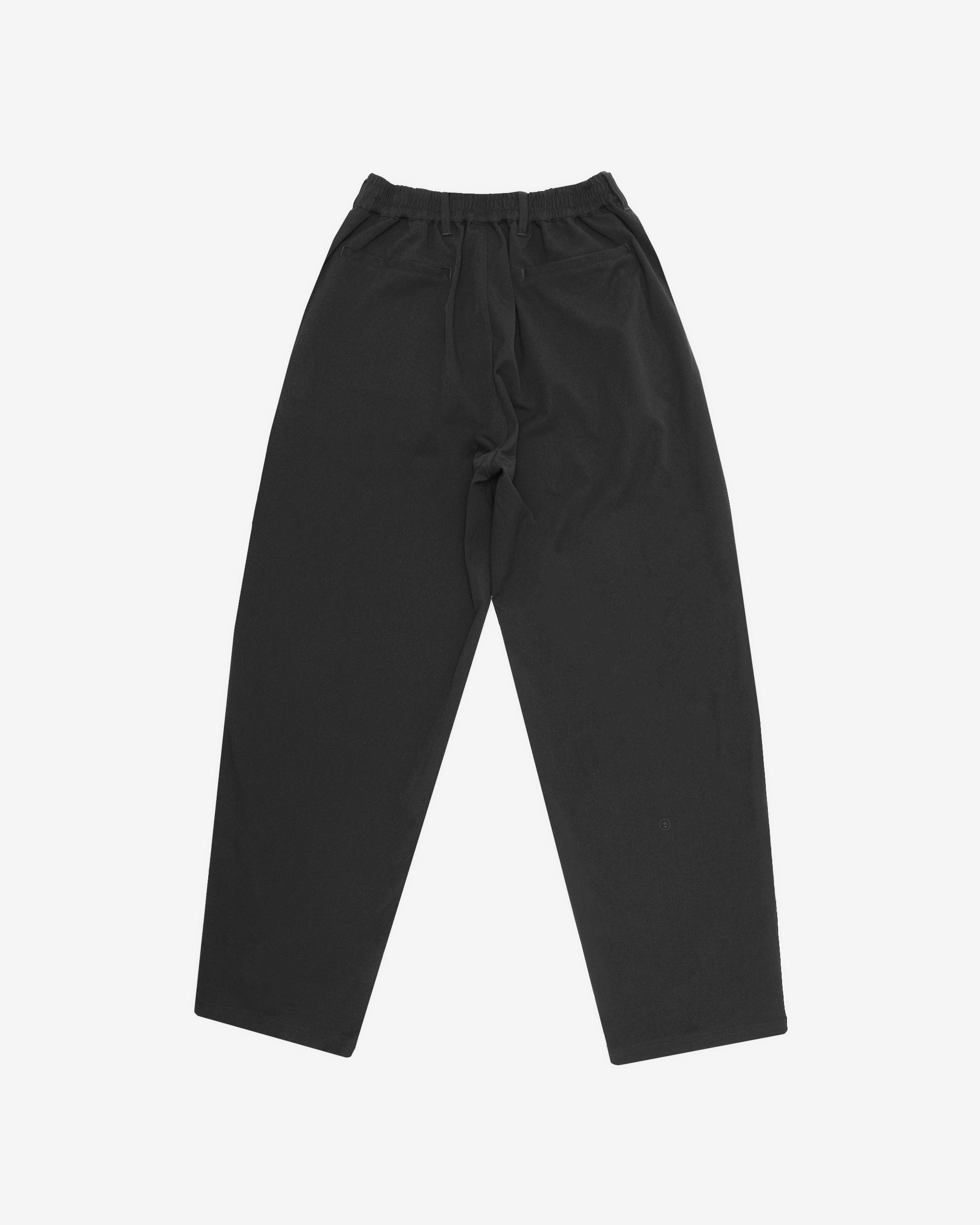 Calculus Baggy Pleated Pants